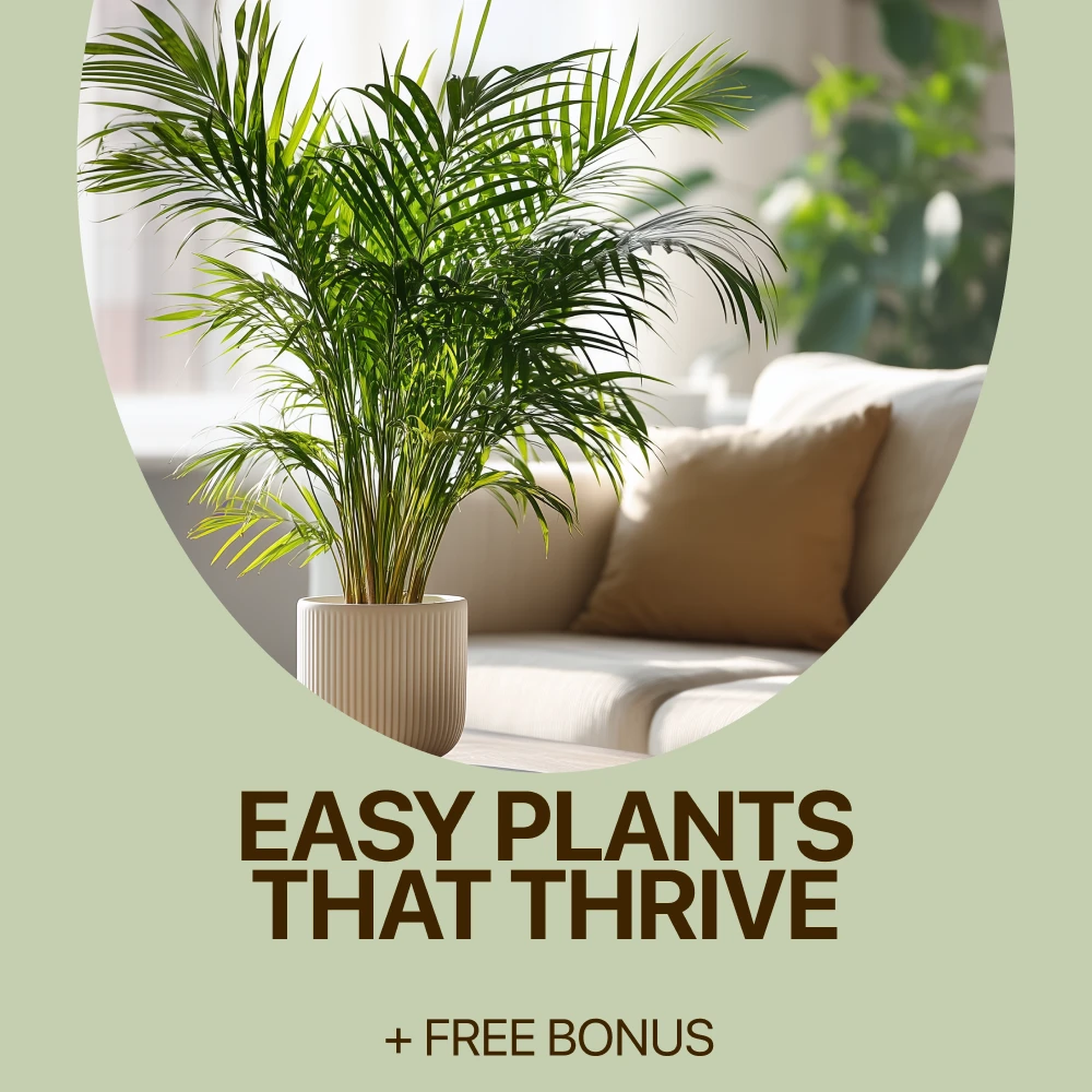 Easy Plants That Thrive: A Beginner’s Indoor & Outdoor Guide