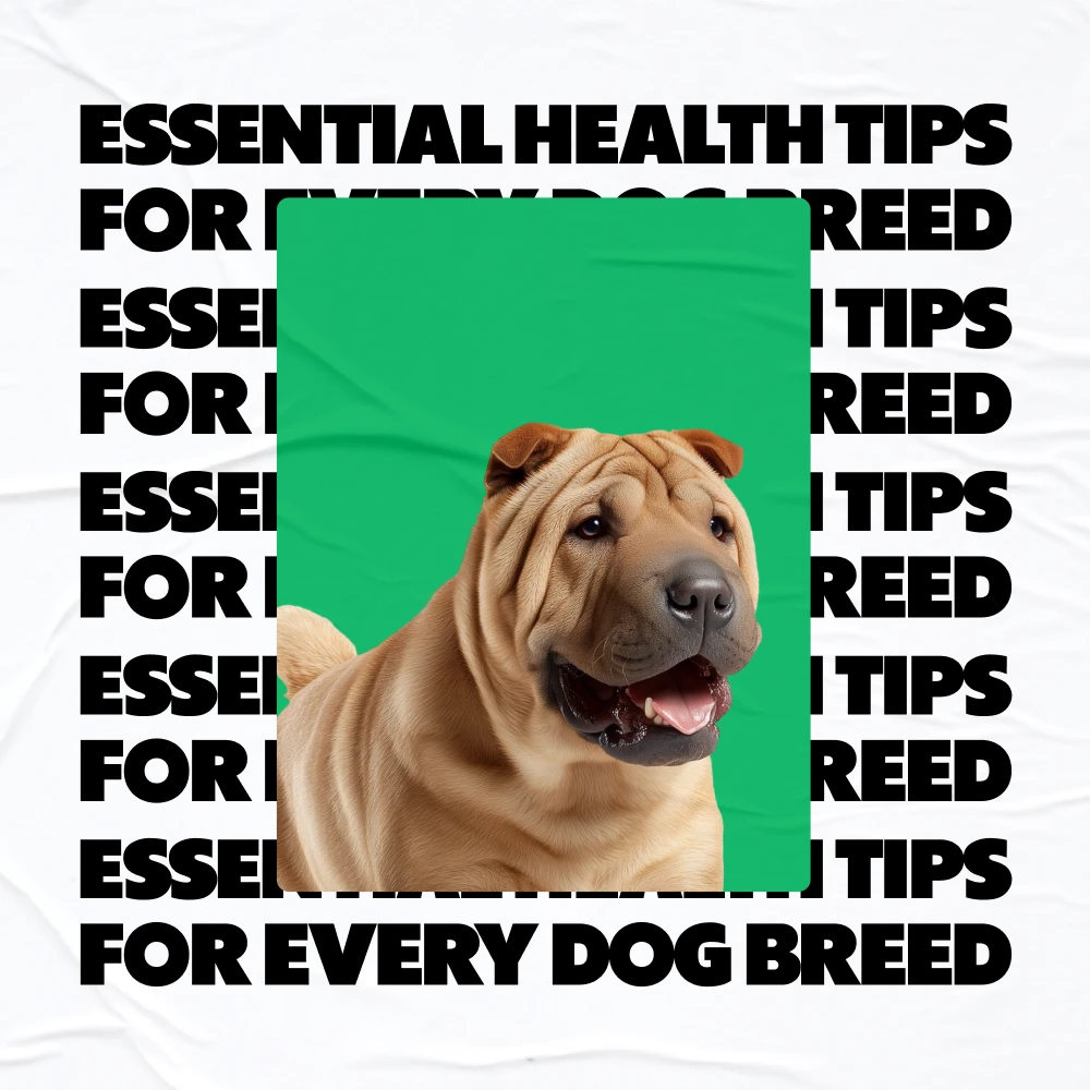 Dog Wellness Guide: Nutrition, Exercise & Preventive Care